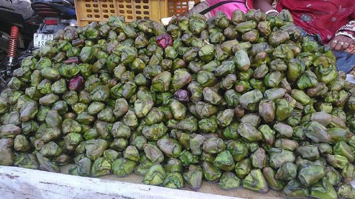 सर्दियों का फल सिंघाड़ा: ठंड के मौसम में शरीर को दे ताकत, चमकाए त्वचा और रखे बीमारियों से दूर